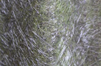 Theydon Mount fibreglass roof work